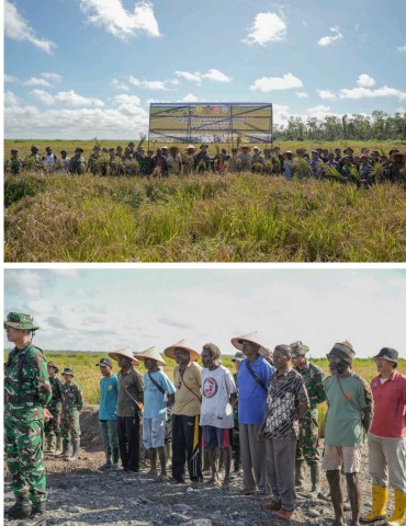 Sinergi TNI dan Warga Bangkitkan Harapan Baru Pertanian Papua Selatan