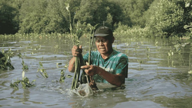 22 Mei, LindungiHutan Serukan Pentingnya Lindungi Habitat untuk Masa Depan Alam