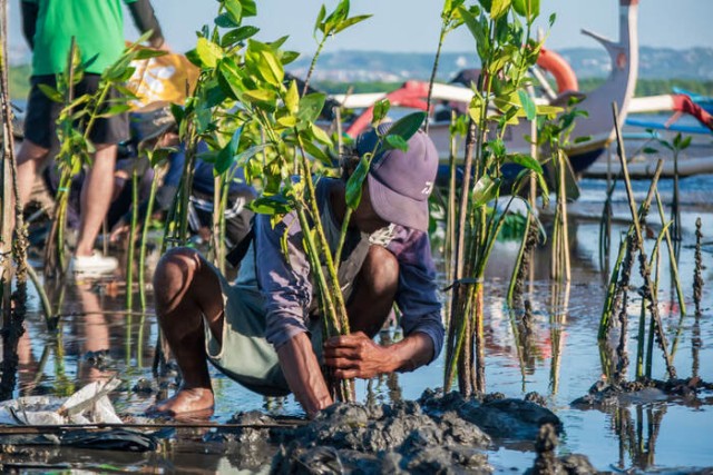 Hari Lingkungan Hidup 2025, Saat Aksi Kolektif Jadi Kunci Pulihkan Alam
