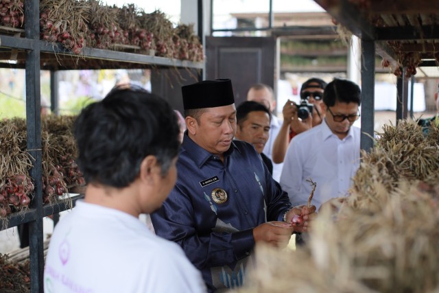 Bupati Pelajari Teknis Penanaman Bawang Merah di Bali