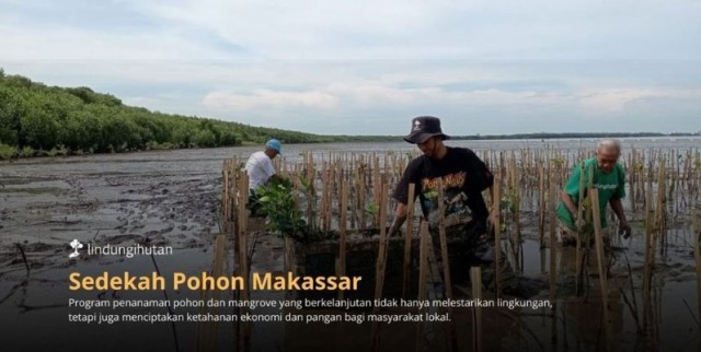 Abrasi Ancam Makassar, LindungiHutan Ajak Publik Berdonasi Pohon untuk Rehabilitasi Pesisir Untia