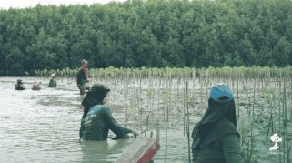 LindungiHutan Dorong Aksi Komunitas di Pantai Bahagia, Bekasi