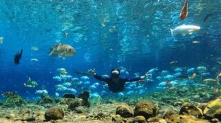 Wisatawan Tertarik Berfoto Bawah Air di Umbul Ponggok Klaten