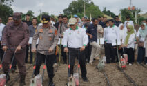 Dukung Ketahanan Pangan, Holding Perkebunan Nusantara Lewat PalmCo Perkuat Kemitraan Petani di Jambi