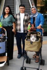 Main Bareng Anabul Di Grand Galaxy Park yang Cat Friendly