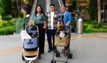 Main Bareng Anabul Di Grand Galaxy Park yang Cat Friendly