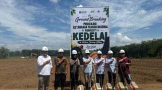 PTPN IV PalmCo Matangkan Pilot Project Kedelai Dukung Percepatan Swasembada Pangan Nasional