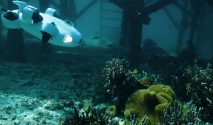 Bathymetry Survey dengan ROV: Cara Memetakan Dasar Perairan Secara Akurat