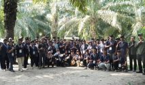 Holding Perkebunan Nusantara Dorong Produktivitas Sawit Rakyat melalui Pembelajaran di Kebun Adolina