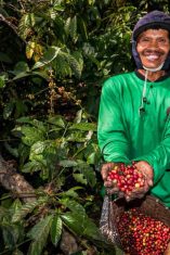 Kebun Kopi Ijen, Warisan yang Terus Menghidupi